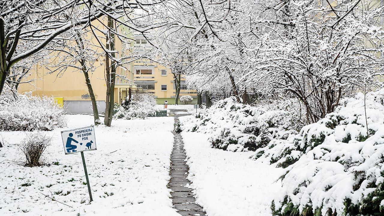 Może spaść od 10 do 15 cm śniegu (fot. PAP/Grzegorz Michałowski)