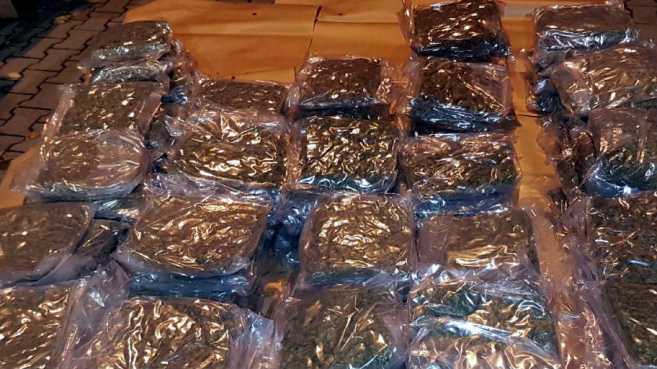 Marihuana przechwycona przez CBŚP w Broniszach (fot. CBŚP) Marihuana przechwycona przez CBŚP w Broniszach (fot. CBŚP)