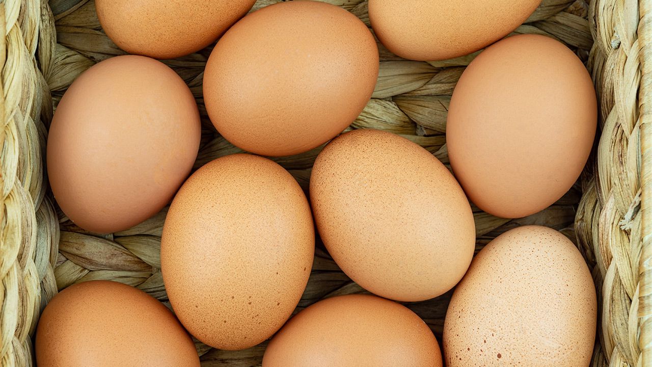 Jaja z zakwestionowanych partii zostaną zutylizowane (fot. Shutterstock)
