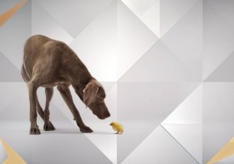 Zagadki kryminalne, metamorfozy wnętrz i dobre kino w TVP HD