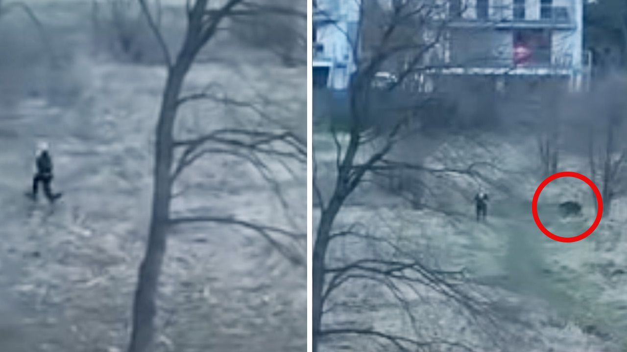 Dzik zaczął gonić kobietę, która wybrała się na spacer (fot. YouTube) Dzik zaczął gonić kobietę, która wybrała się na spacer (fot. YouTube)