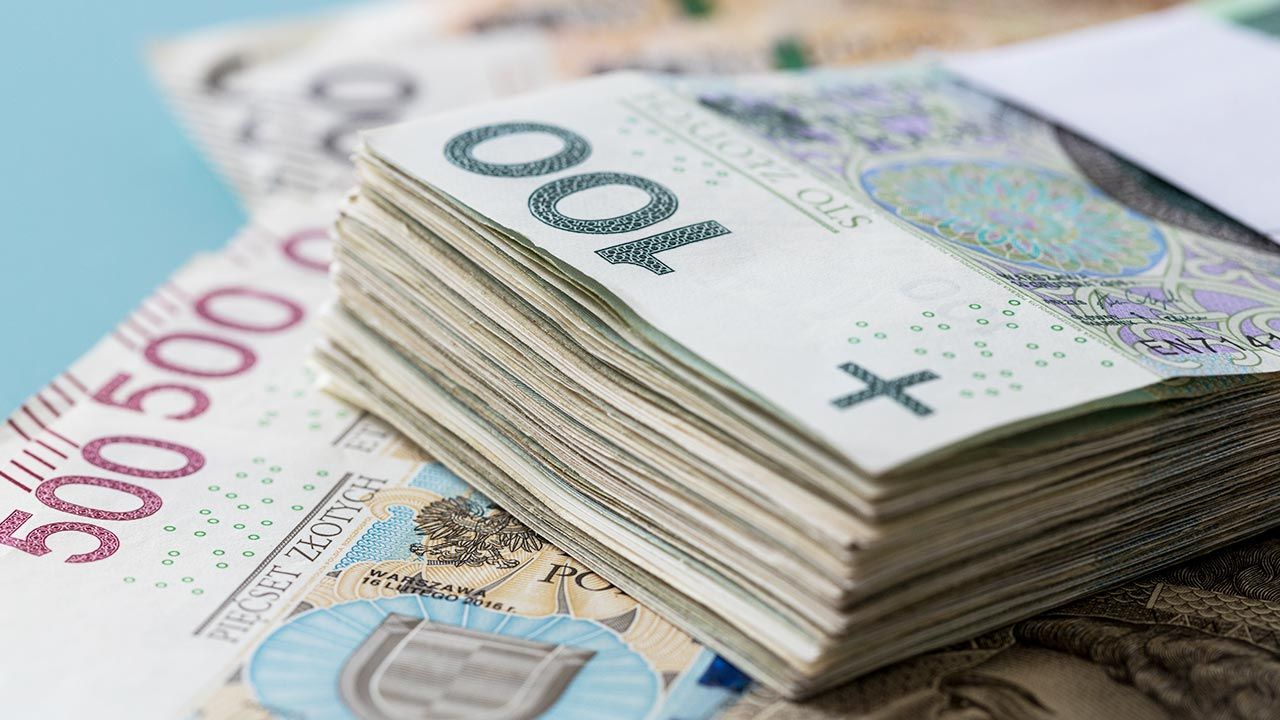 „Warto promować go jako walutę rezerwową dla innych krajów” (fot. Shutterstock/Andrzej Rostek) „Warto promować go jako walutę rezerwową dla innych krajów” (fot. Shutterstock/Andrzej Rostek)