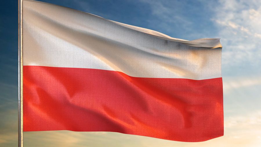 Modele Demokracji Sprawdzian Nowa Era Chomikuj Wyborcze święto demokracji