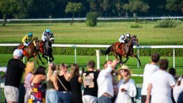 (fot. materiały prasowe) (fot. materiały prasowe)