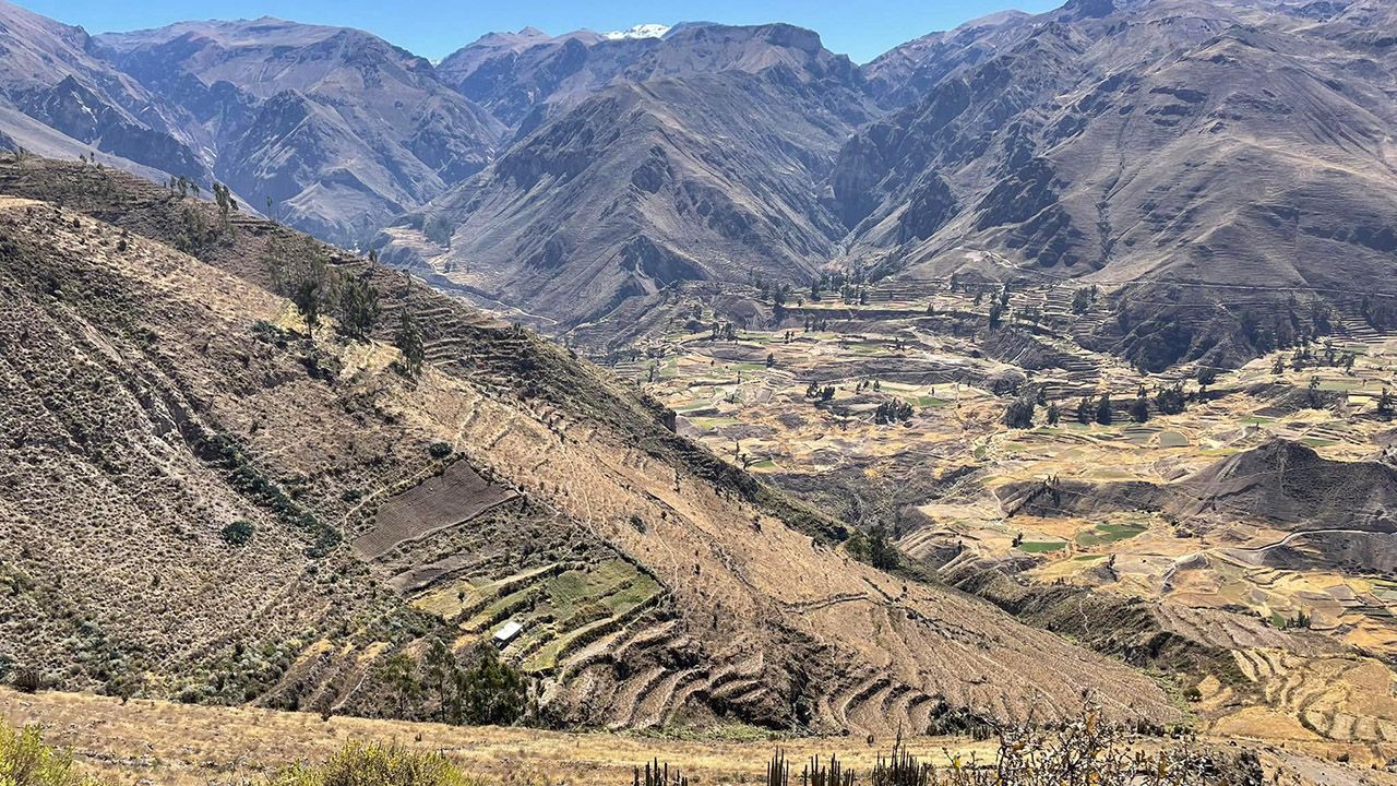 Kanion Colca w Peru (fot. A.Wasztyl)