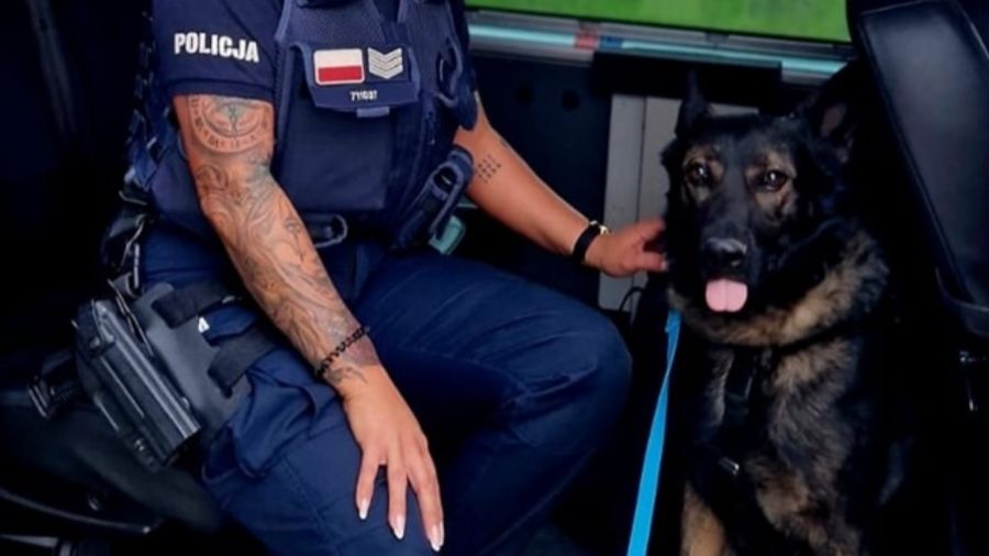 Biegł 3 kilometry. Mówią na niego Rambo (fot. KPP Gniezno)
