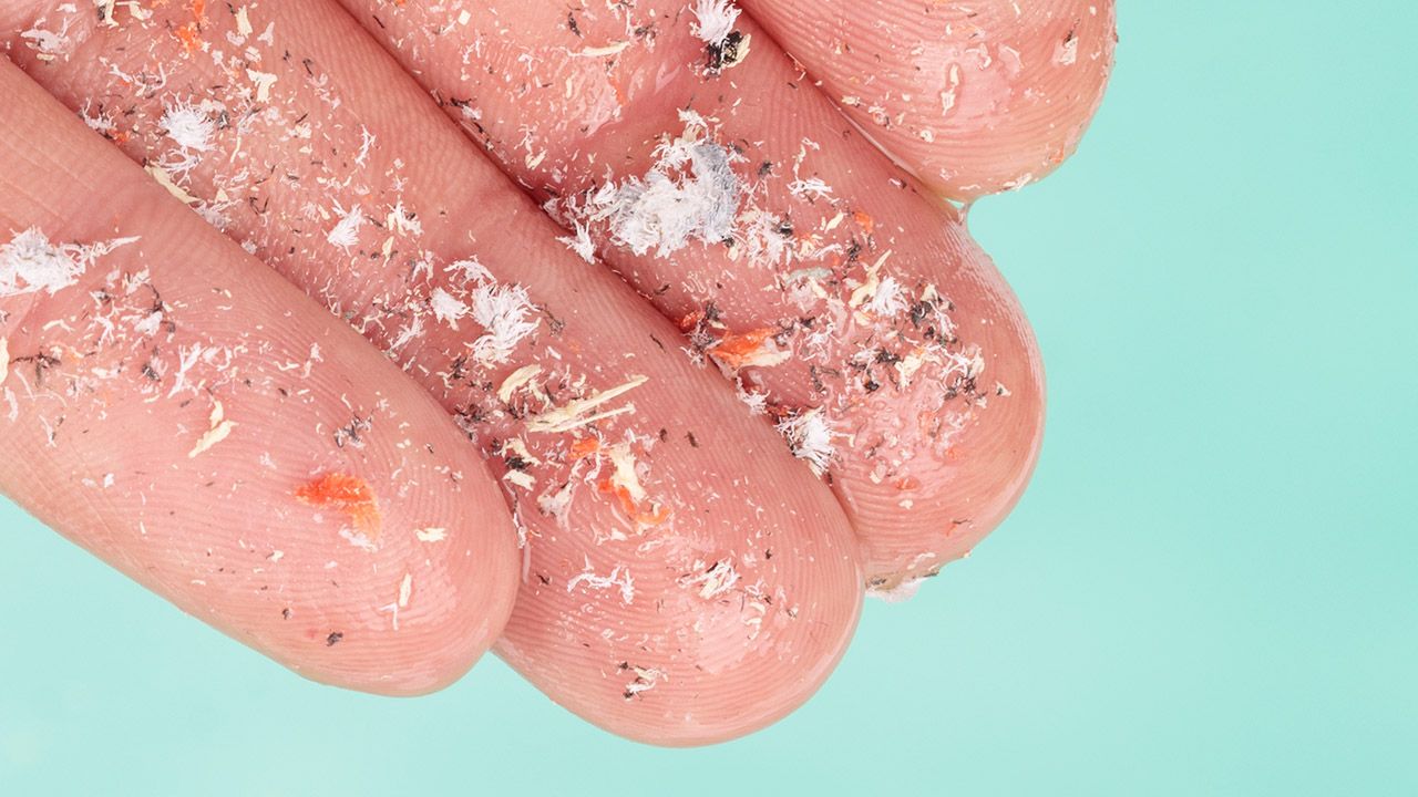 Nanoplastik może być groźny także dla ludzi (fot. Shutterstock/MAXSHOT.PL) Nanoplastik może być groźny także dla ludzi (fot. Shutterstock/MAXSHOT.PL)
