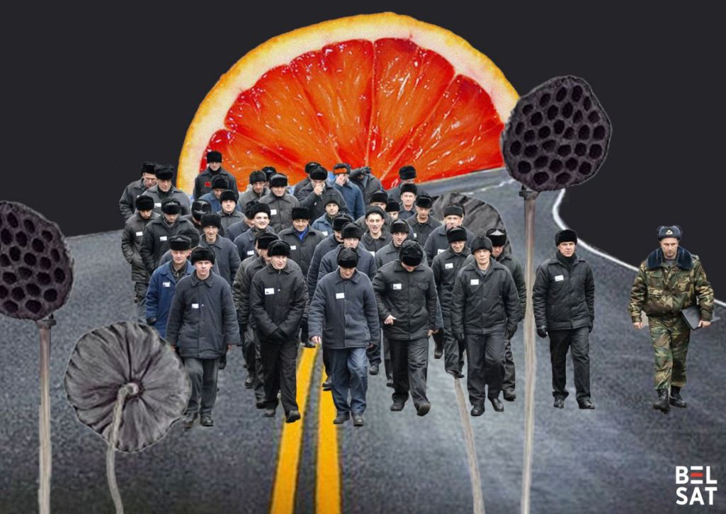 Здымак мае ілюстрацыйны характар. Калаж: Белсат