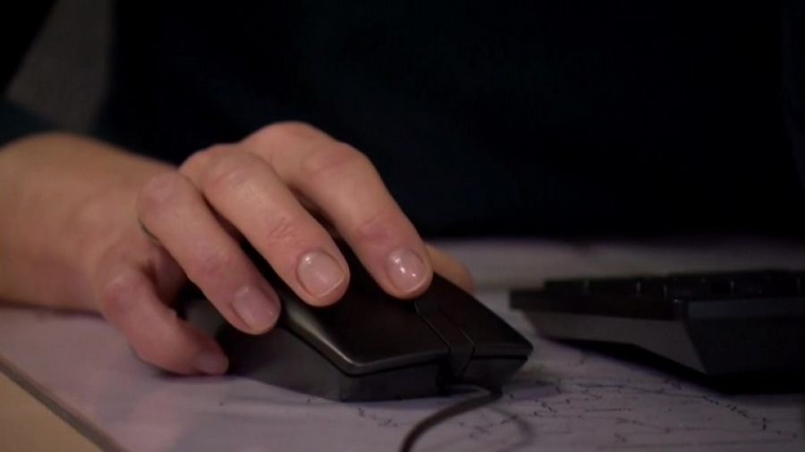 Funkcjonariusze apelują o szczególną czujność podczas zawierania transakcji online (fot. ilustr. TVP3 Wrocław)
