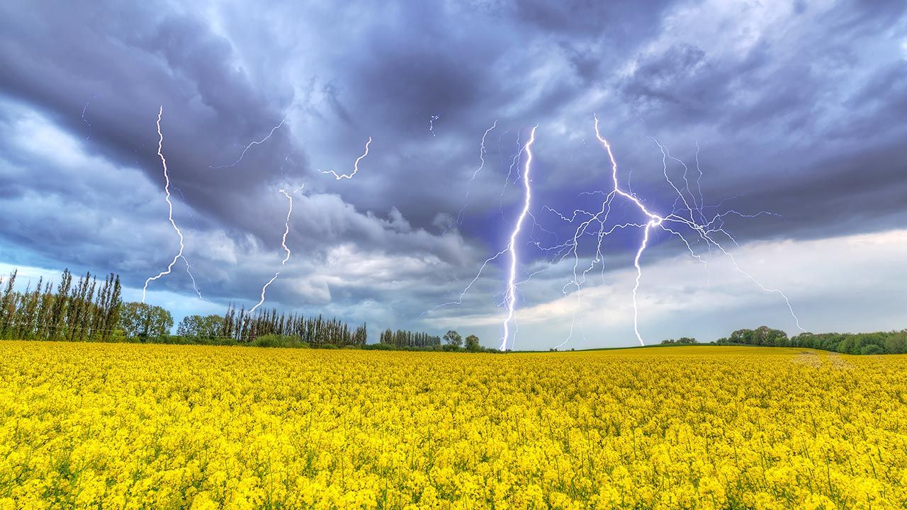 Większość terytiroium Polski objęte zostało alertami pogodowymi (fot. Shutterstock)