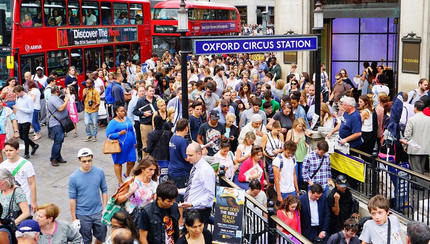 Informacja na stronie internetowej władz Londynu wywołała sporą kontrowersję (fot. Shutterstock/P Gregory)