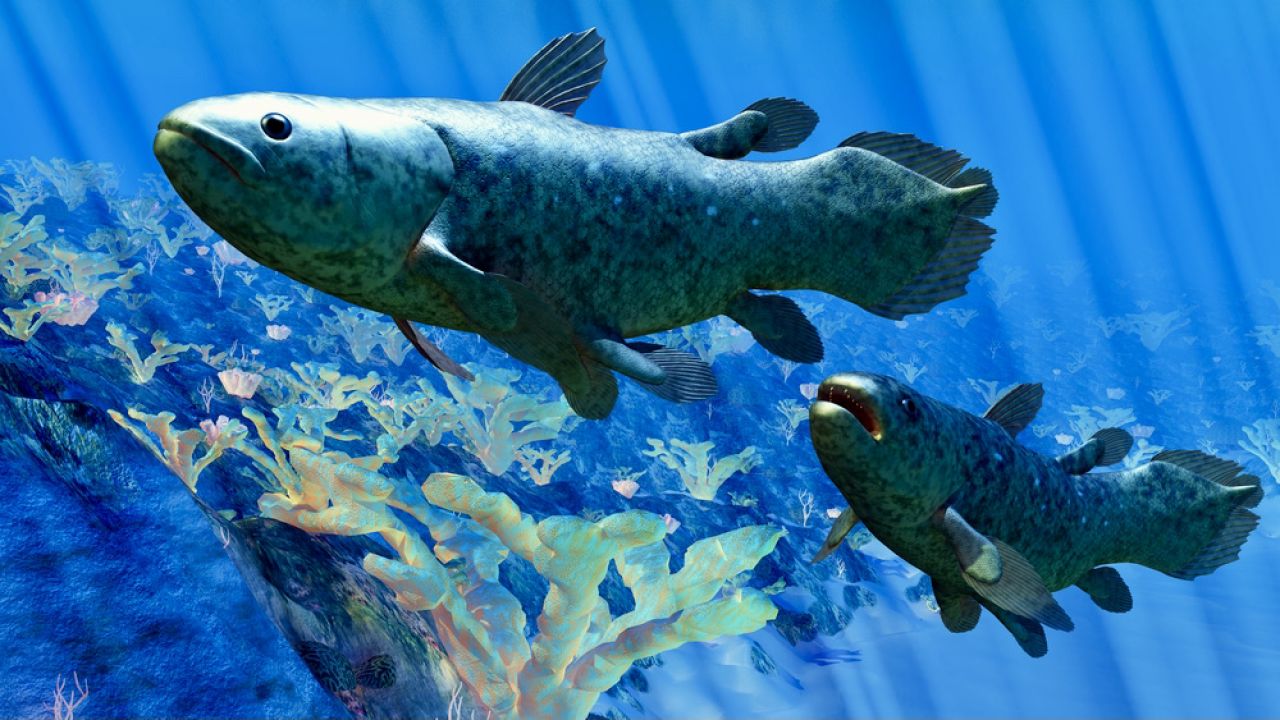 Ştiinţă.  O specie de pește care este considerată a fi dispărută a fost descoperită acum 100 de ani