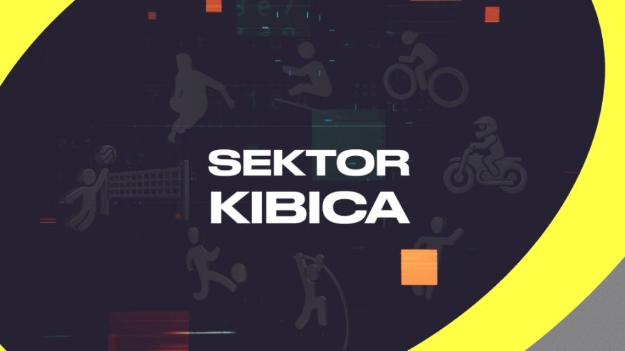 Sektor kibica