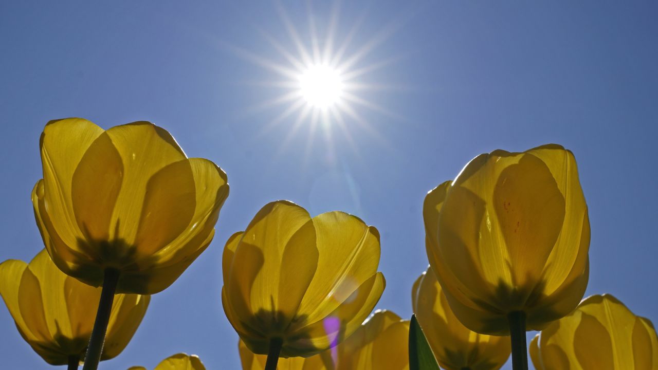 W najbliższych dniach temperatura bedzie rosła (fot. PAP/EPA/RONALD WITTEK) W najbliższych dniach temperatura bedzie rosła (fot. PAP/EPA/RONALD WITTEK)