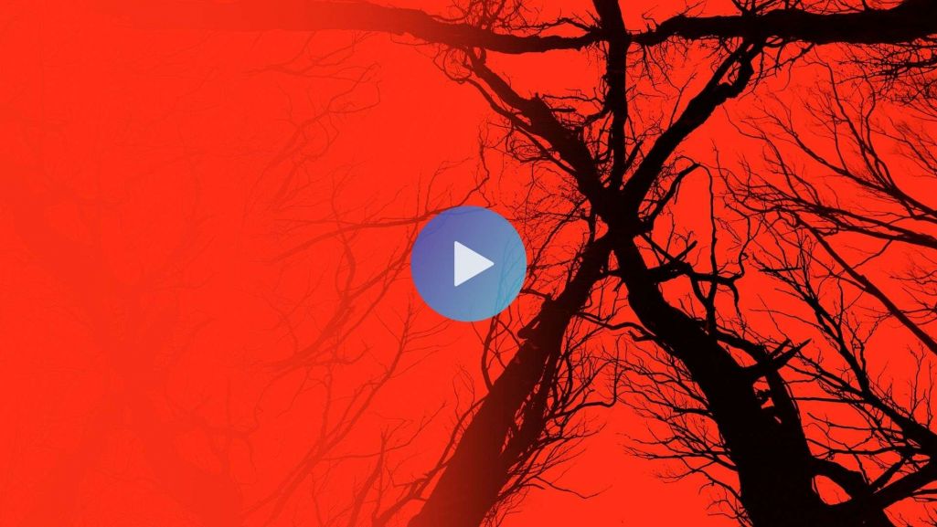 Autorzy horroru „Blair Witch” nawiązują do słynnej produkcji kina grozy z końca lat 90. Fot. Materiały prasowe